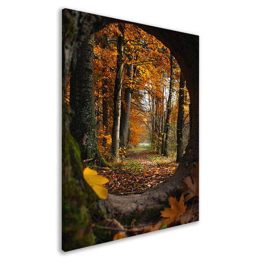 Herfstbos door een holle boom canvas
