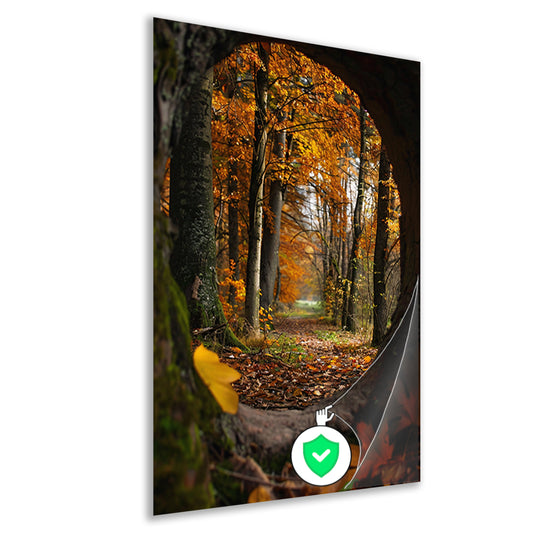Herfstbos door een holle boom poster