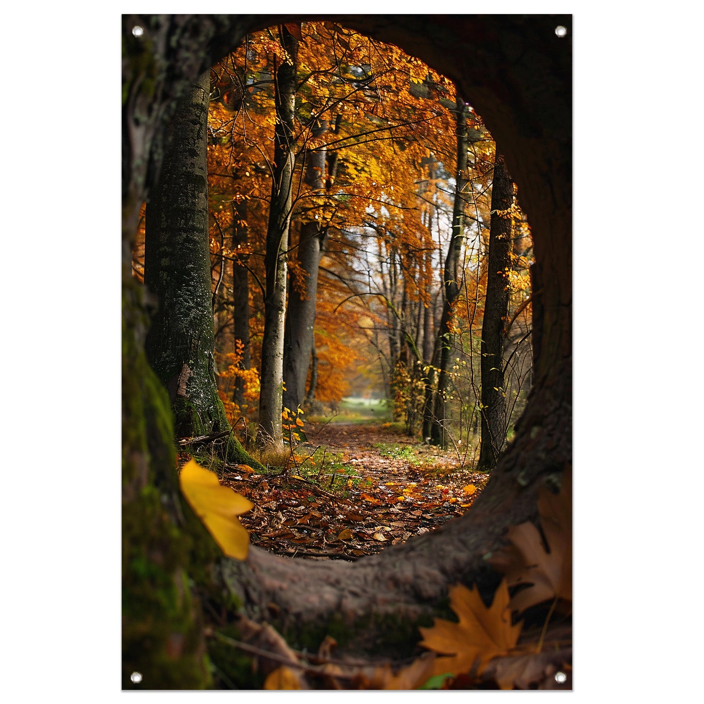 Herfstbos door een holle boom tuinposter