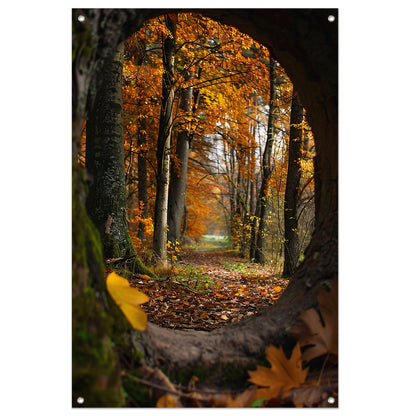 Herfstbos door een holle boom tuinposter