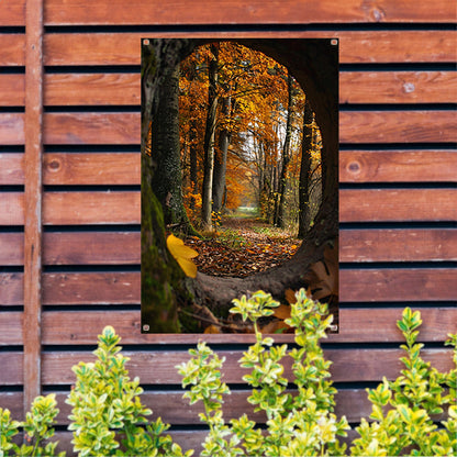 Herfstbos door een holle boom tuinposter