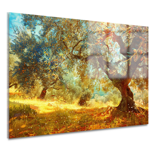 Impressionistisch Boslandschap acrylglas