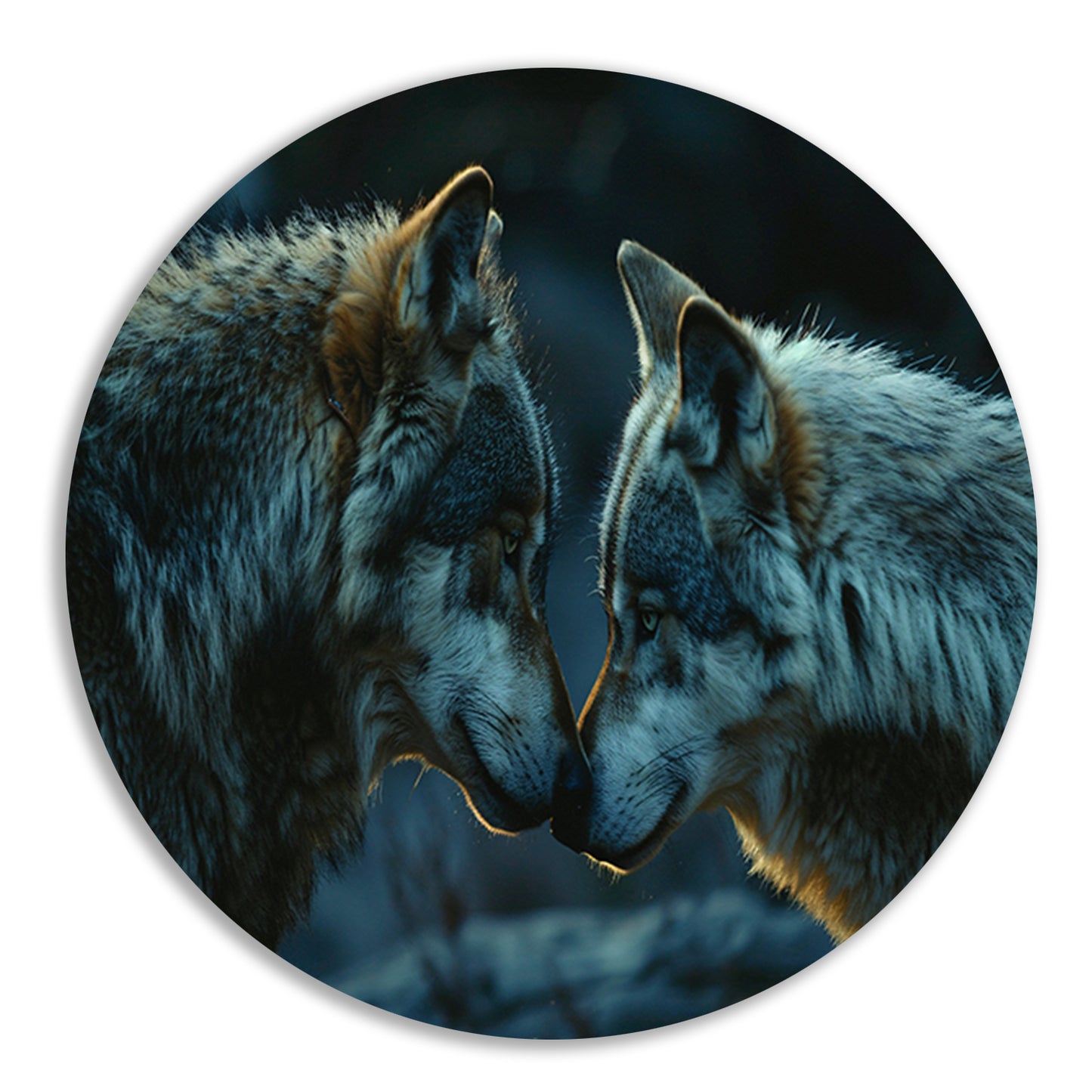 Twee wolven in donkere omgeving aluminium muurcirkel