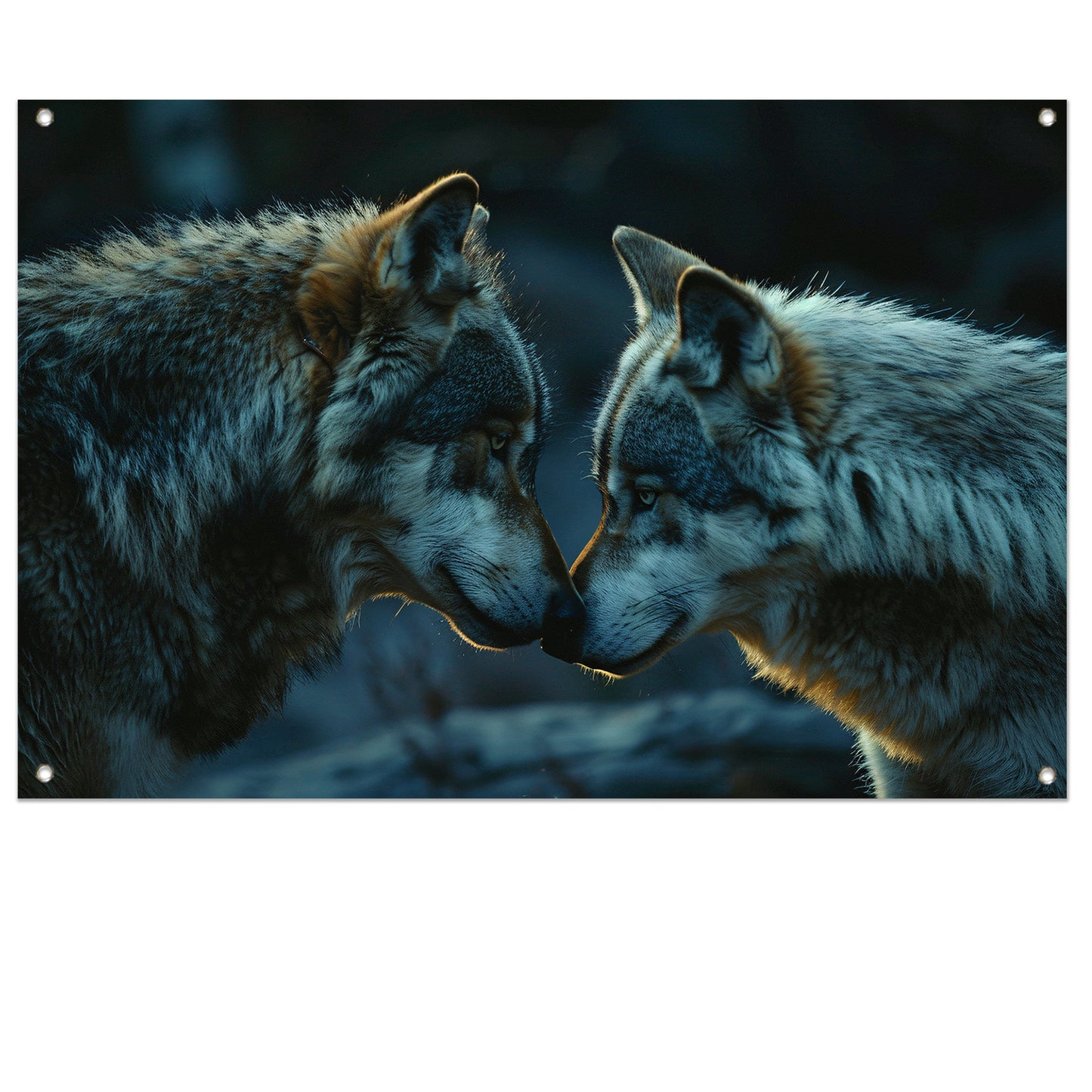 Twee wolven in donkere omgeving tuinposter