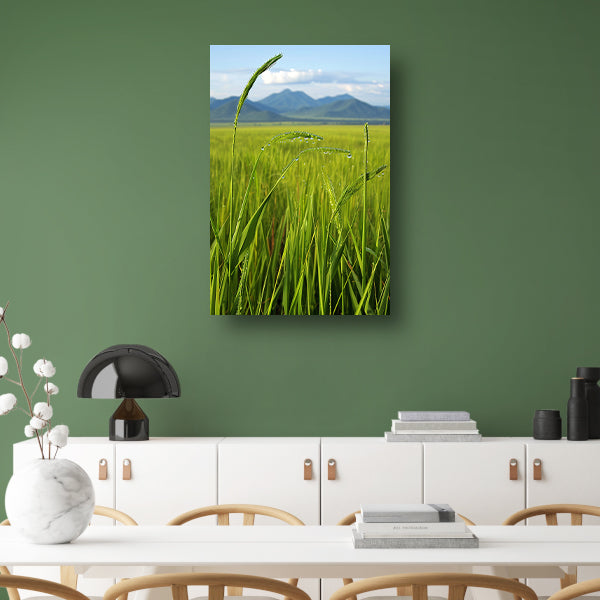 Dauwdruppels op groene grassprieten canvas