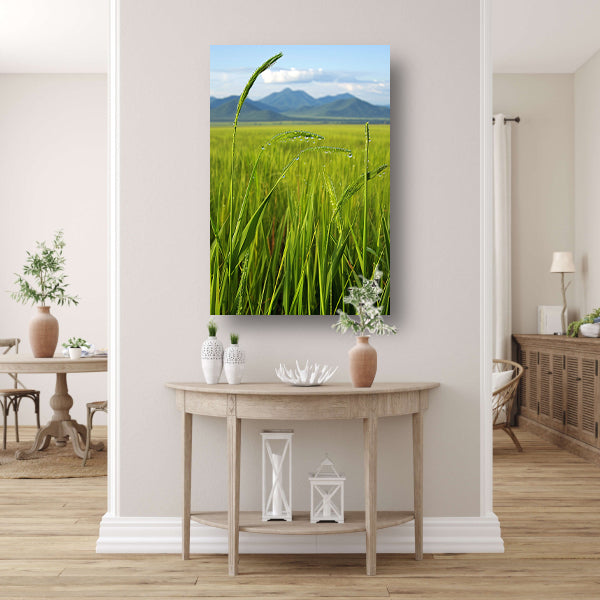Dauwdruppels op groene grassprieten canvas