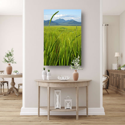 Dauwdruppels op groene grassprieten canvas