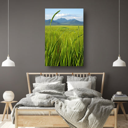 Dauwdruppels op groene grassprieten poster