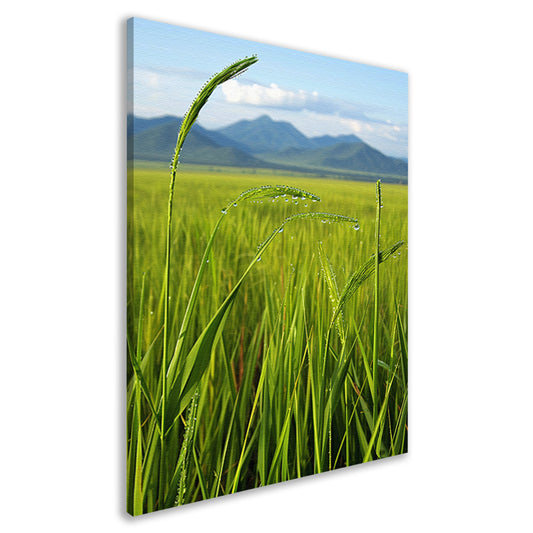 Dauwdruppels op groene grassprieten canvas
