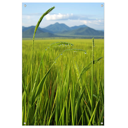 Dauwdruppels op groene grassprieten tuinposter