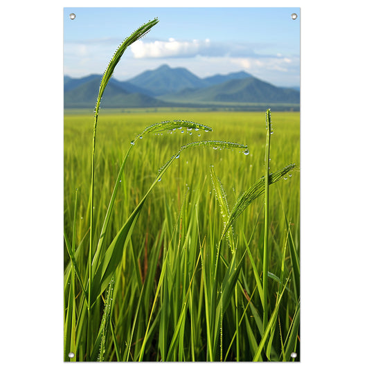Dauwdruppels op groene grassprieten tuinposter