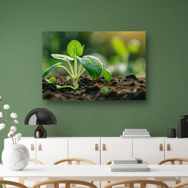 Jonge zaailing die door aarde breekt acrylglas
