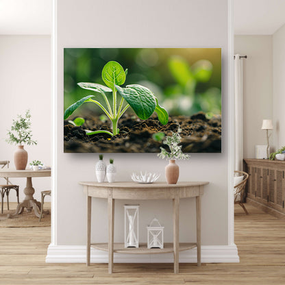 Jonge zaailing die door aarde breekt acrylglas