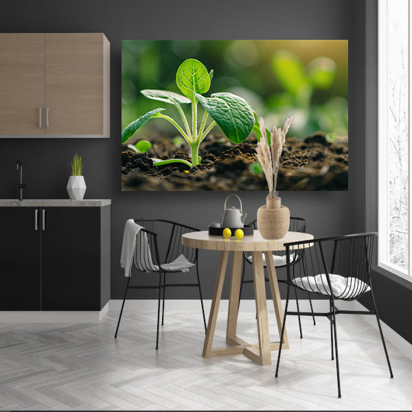 Jonge zaailing die door aarde breekt acrylglas