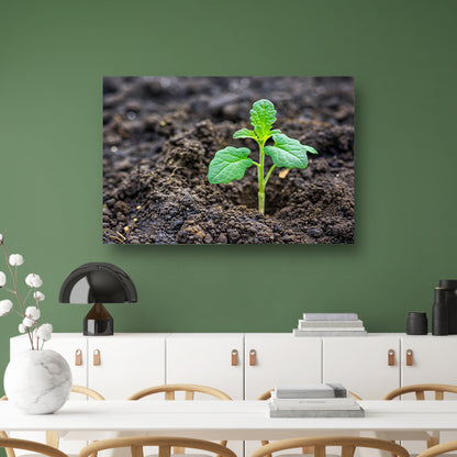 Jonge groene plant in vruchtbare aarde canvas