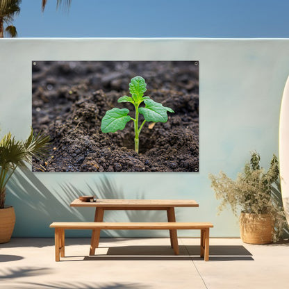 Jonge groene plant in vruchtbare aarde tuinposter