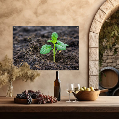 Jonge groene plant in vruchtbare aarde tuinposter