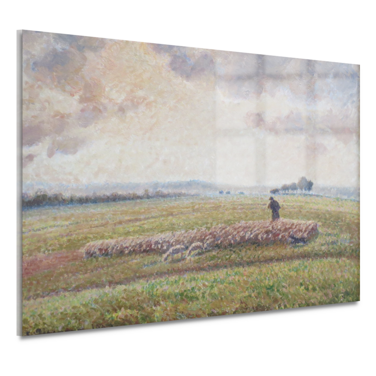 Landschap met kudde schapen - Camille Pissarro acrylglas