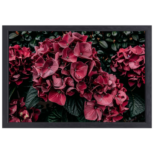 Sfeervolle rode bloemen canvas met baklijst