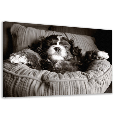 Slapende viervoeter: Slapende viervoeter in comfortabel bed. canvas
