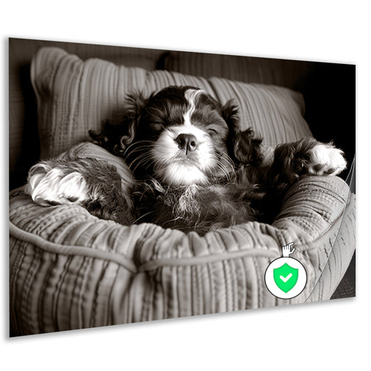 Slapende viervoeter: Slapende viervoeter in comfortabel bed. poster