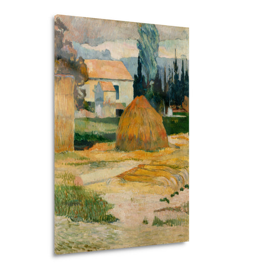 Landschap nabij Arles - Paul Gauguin Acrylglas