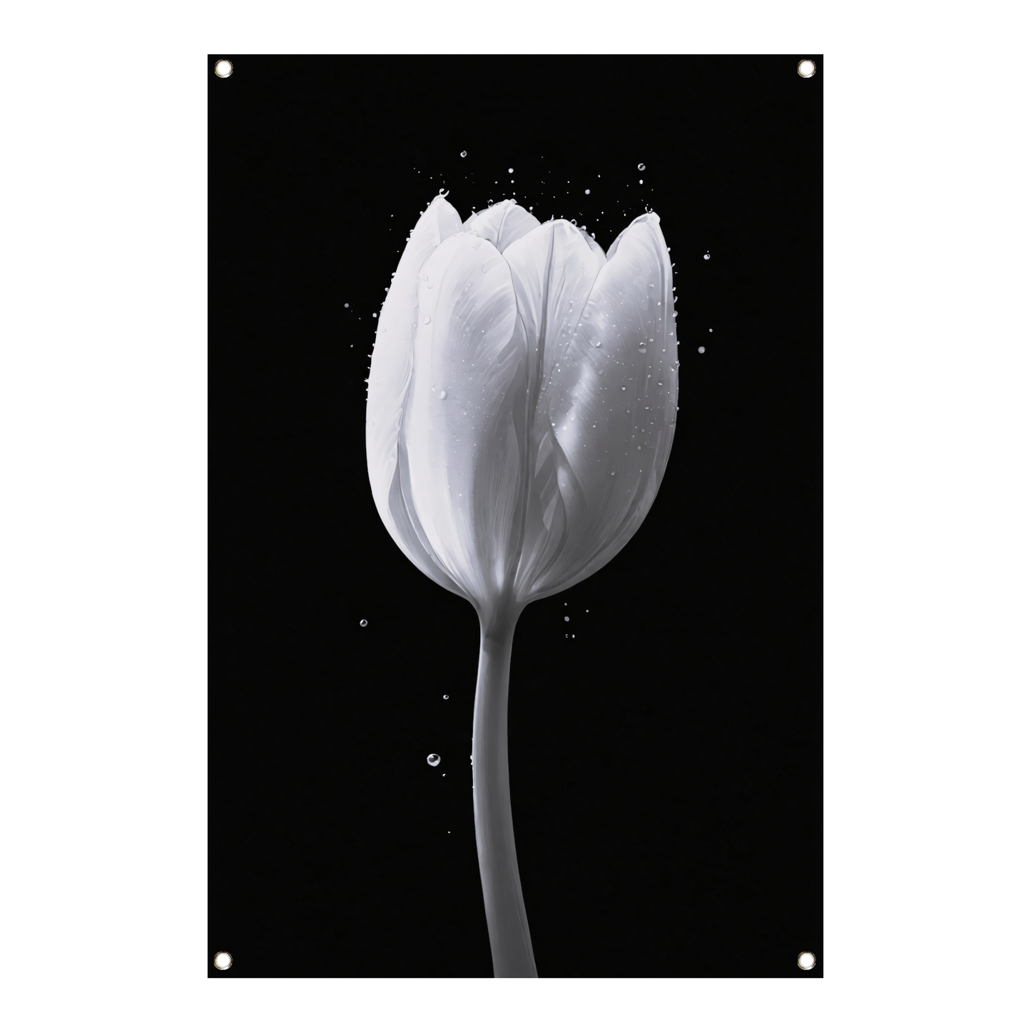 Minimalistische witte tulp met waterdruppels tuinposter