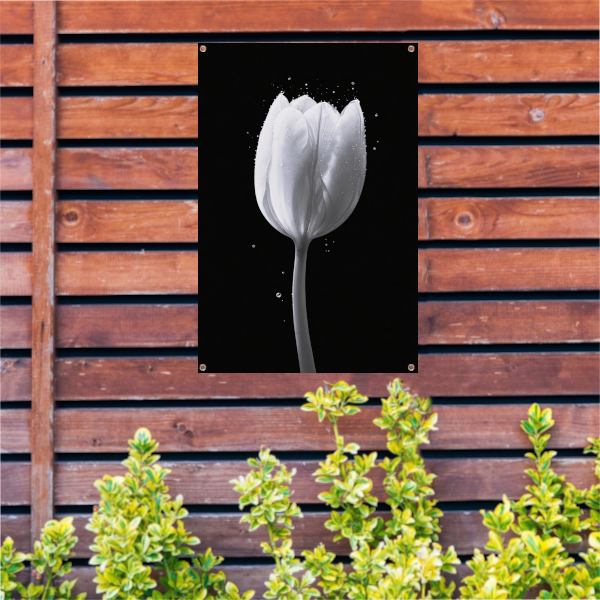 Minimalistische witte tulp met waterdruppels tuinposter