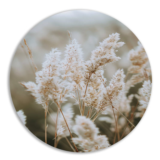 Close-up van Witte Pluimen forex muurcirkel
