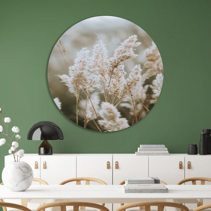 Close-up van Witte Pluimen forex muurcirkel