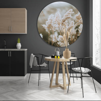 Close-up van Witte Pluimen forex muurcirkel
