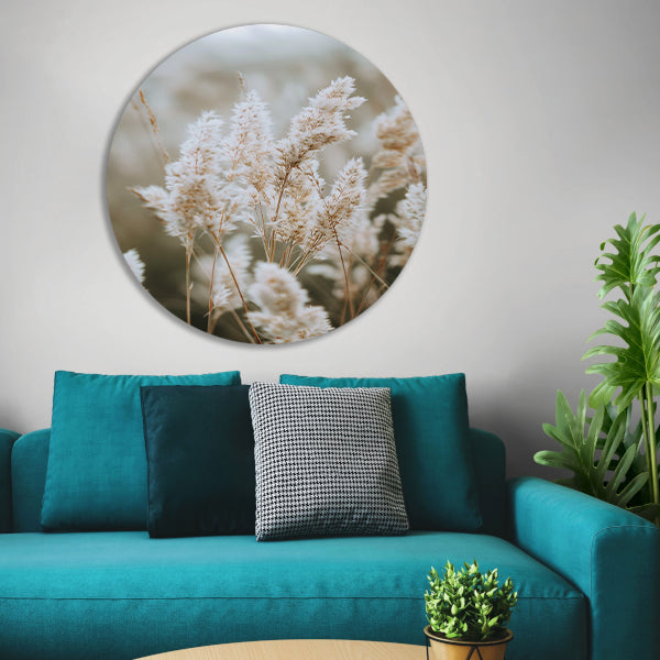 Close-up van Witte Pluimen forex muurcirkel