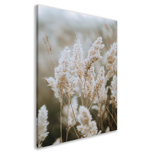 Close-up van Witte Pluimen canvas