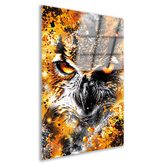 Kleurrijk abstract schilderij van een uil acrylglas
