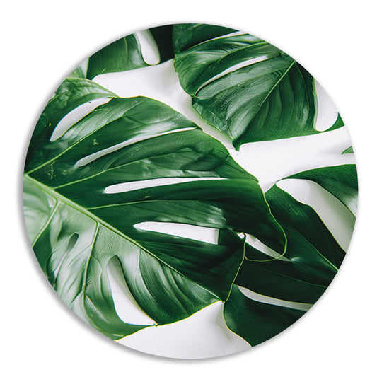 Elegante Monstera bladeren op helderwitte achtergrond aluminium muurcirkel