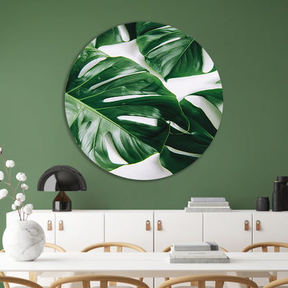 Elegante Monstera bladeren op helderwitte achtergrond aluminium muurcirkel