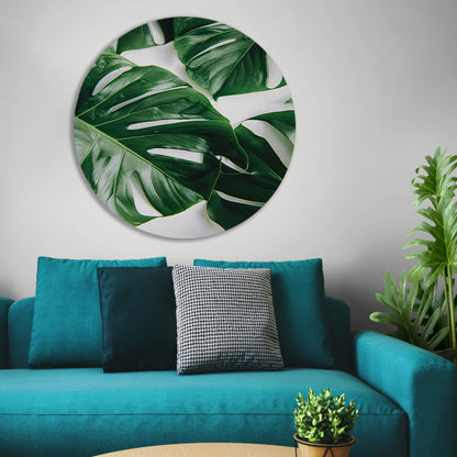 Elegante Monstera bladeren op helderwitte achtergrond aluminium muurcirkel
