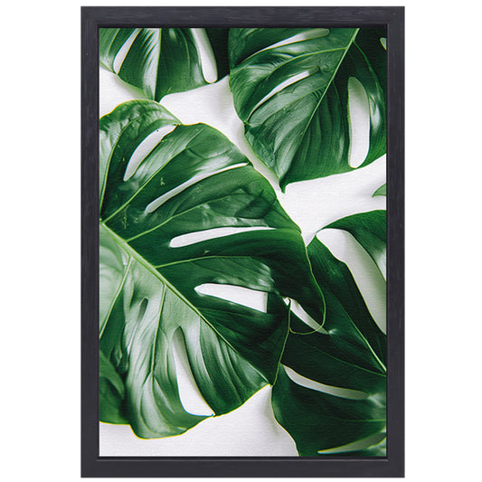Elegante Monstera bladeren op helderwitte achtergrond canvas met baklijst