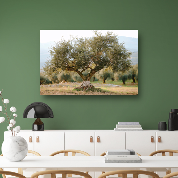 Olijfboom in Impressionistische Stijl canvas met baklijst