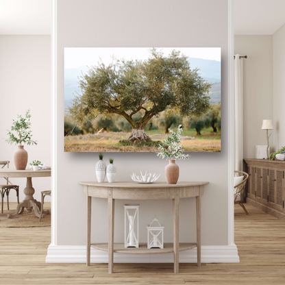Olijfboom in Impressionistische Stijl canvas met baklijst
