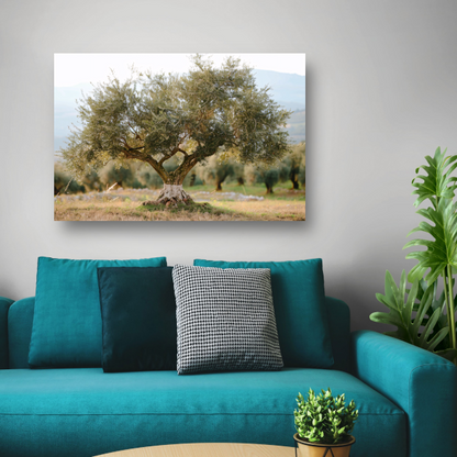 Olijfboom in Impressionistische Stijl canvas met baklijst