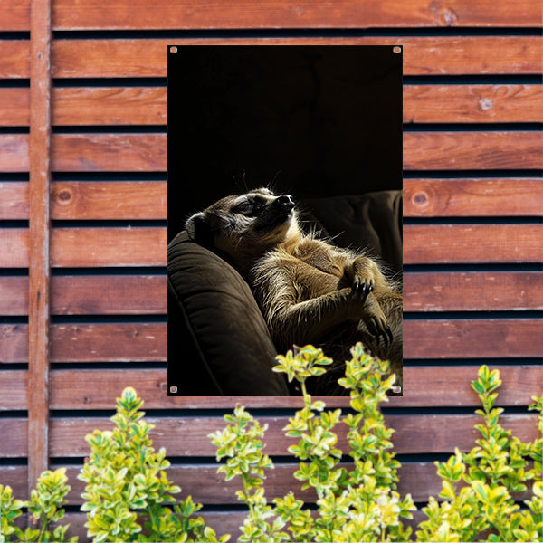 Slapende Meerkat op Bank tuinposter