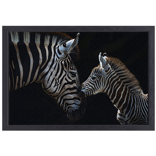 Intiem moment tussen twee zebras canvas met baklijst