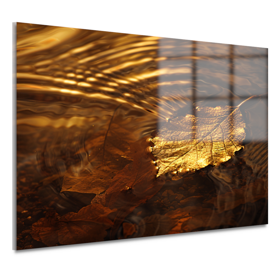 Gouden herfstblad zwevend op rustig water acrylglas