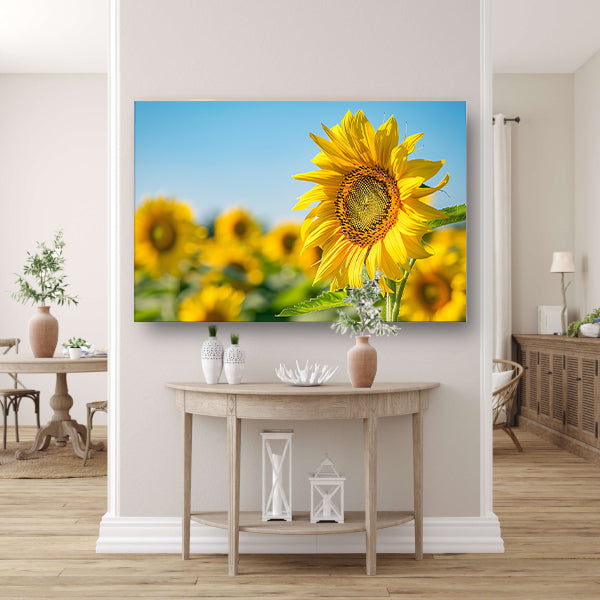 Levendige zonnebloemen in een bloeiend veld canvas