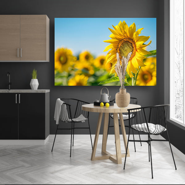 Levendige zonnebloemen in een bloeiend veld canvas