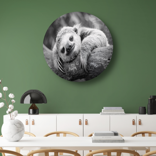 Slapende luiaard op tak aluminium muurcirkel