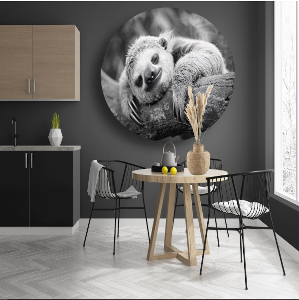 Slapende luiaard op tak aluminium muurcirkel