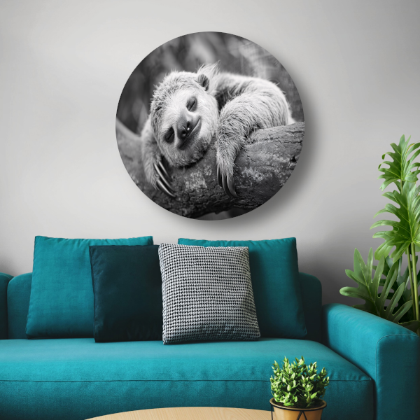 Slapende luiaard op tak aluminium muurcirkel