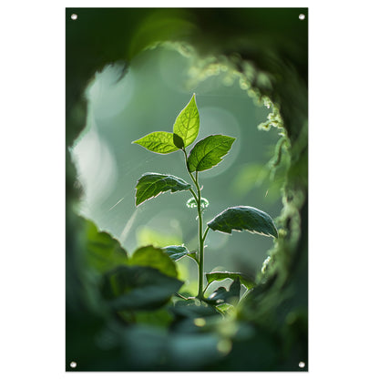 Jonge plant in het zonlicht tuinposter